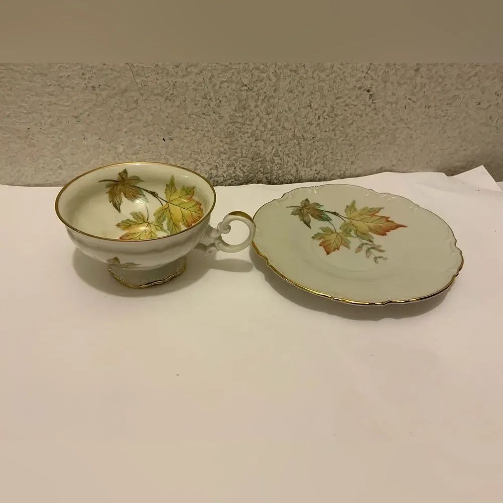 Vtg Hutschenreuther Tea Cup & Saucer THE AUTUMN LEAVES A10
